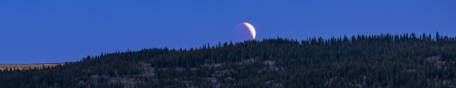 A picture of the moon rising over a forest. The moon is a small crescent.