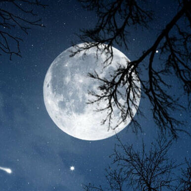 The moon with some outlines of branches.